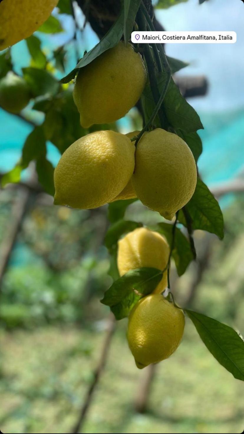마이오리 Il Giardino Dorato 빌라 외부 사진